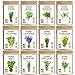 photo Seedra 12 Herb Seeds Variety Pack - 3800+ Non-GMO Heirloom Seeds for Planting Hydroponic Indoor or Outdoor Home Garden - Rosemary, Tarragon, Lavender, Oregano, Basil, Thyme, Parsley, Chives & More 2024-2023