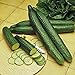 photo Cucumber, Long Green Improved, Heirloom,99+ Seeds, Great for Any Veggie Platter 2024-2023