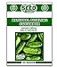 photo National Pickling Cucumber Seeds - 50 Seeds Non-GMO 2024-2023