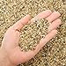 photo 2.7 lb Coarse Sand Stone - Succulents and Cactus Bonsai DIY Projects Rocks, Decorative Gravel for Plants and Vases Fillers，Terrarium, Fairy Gardening, Natural Stone Top Dressing for Potted Plants. 2024-2023