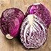 photo RattleFree Cabbage Seeds for Planting | Heirloom & Non-GMO | 500 Red Acre Cabbage Vegetable Seeds for Planting Home Gardens | Growing Instructions Included on Planting Packets 2024-2023