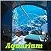 photo Aquarium 2024-2023